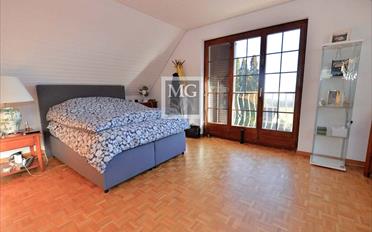 Villa 6.5 Zimmer - image - 7