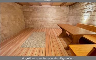 Villa 7.5 Zimmer - image - 7