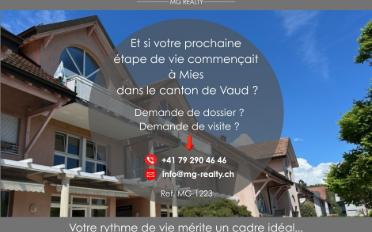 Duplex 4 Zimmer - image - 7