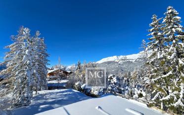 Chalet 8.5 Zimmer - image - 4