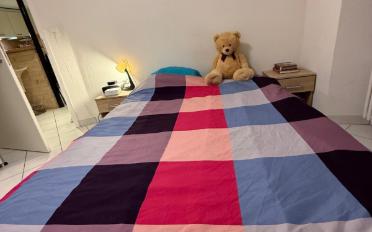 Wohnung 2.5 Zimmer - image - 5