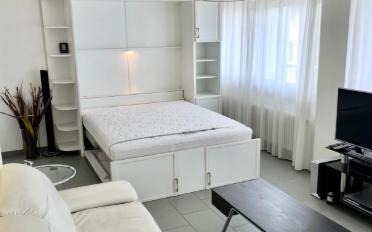 Wohnung ein Zimmer - image - 2