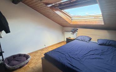 Wohnung 3 Zimmer - image - 8