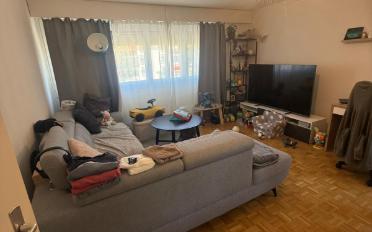Appartement - image - 2