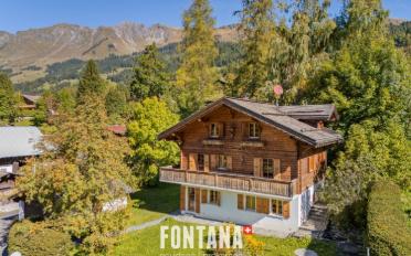 Chalet 7 pièces - image - 1
