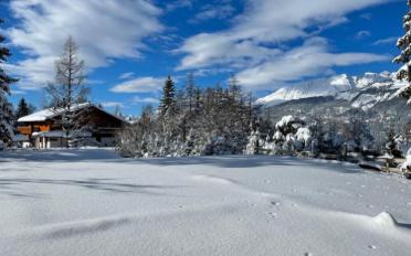 Chalet 8.5 pièces - image - 5