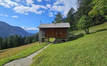 Chalet 3.5 Zimmer - image - 1
