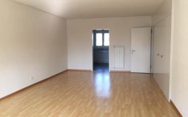 Wohnung 3.5 Zimmer - image - 2