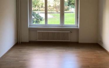 Wohnung ein Zimmer - image - 3