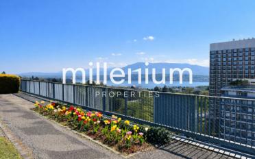 Wohnung 5.5 Zimmer - image - 3