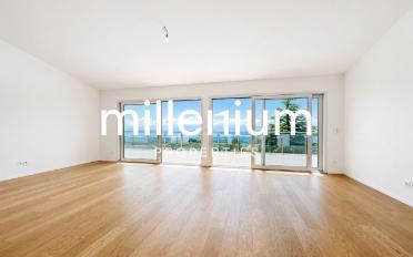 Single house 12 rooms - image - 2