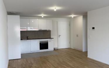 Wohnung 2.5 Zimmer - image - 4