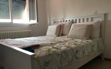 Wohnung 2.5 Zimmer - image - 4