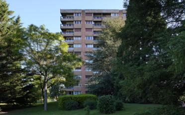 offener Parkplatz ein Zimmer - image - 1