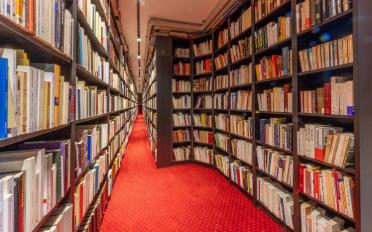 Single house 12 rooms - image - 9