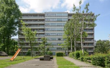 Wohnung 6 Zimmer - image - 2
