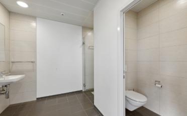 Büro - image - 6
