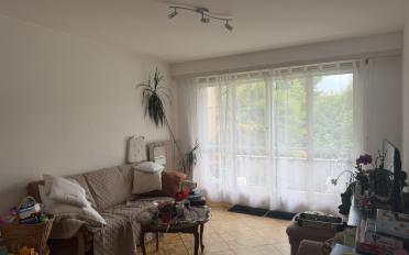 Wohnung 4.5 Zimmer - image - 3