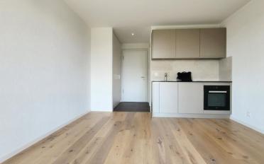 Wohnung ein Zimmer - image - 3