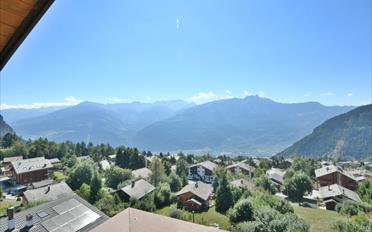 Attikawohnung 3.5 Zimmer - image - 11