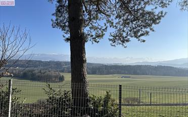 Single house - image - 5