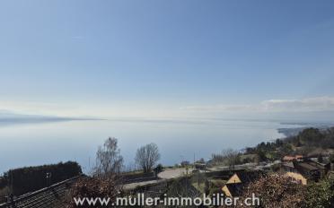 Chalet 5.5 Zimmer - image - 3