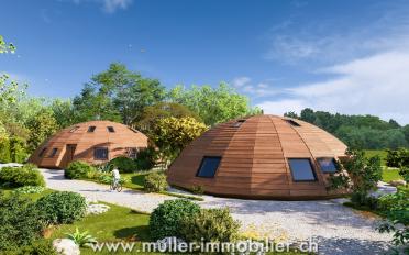 Single house 4 rooms - image - 10
