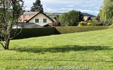 Einfamilienhaus 5.5 Zimmer - image - 3