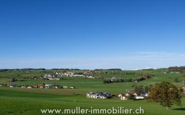 Studio ein Zimmer - image - 11