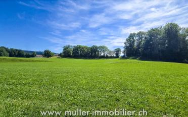 Einfamilienhaus 5.5 Zimmer - image - 9