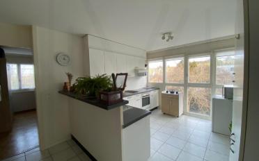 Wohnung 4.5 Zimmer - image - 4