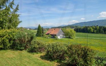 Einfamilienhaus 5 Zimmer - image - 13