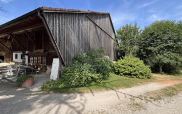 Farm house 5.5 rooms - image - 12