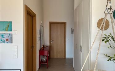 Terrace flat - image - 7