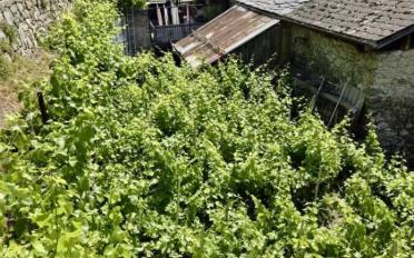 Single house - image - 4