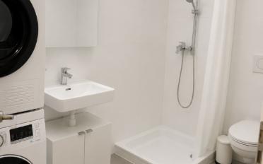 Dachwohnung 5 Zimmer - image - 6