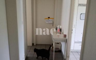 Wohnung 3 Zimmer - image - 5