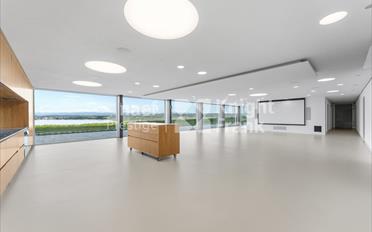 Villa 11 Zimmer - image - 8