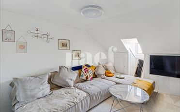 Single house 10 rooms - image - 6