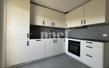 Wohnung 2.5 Zimmer - image - 1