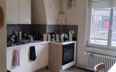 Wohnung ein Zimmer - image - 4