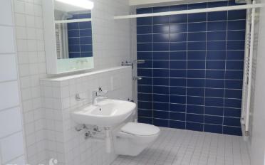 Apartment 2.5 rooms - image - 6