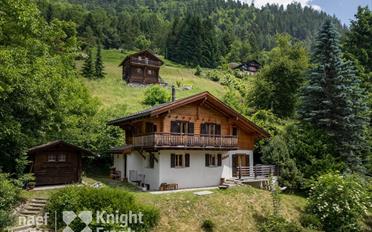 Chalet 4 pièces - image - 1
