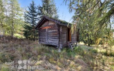 Chalet 1 room - image - 2