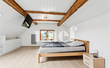 Villa 5.5 Zimmer - image - 6