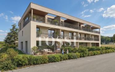 Apartment 2.5 rooms - image - 3