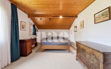 Villa 8 Zimmer - image - 7