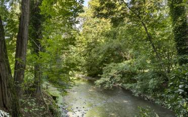 Villa 8 Zimmer - image - 12