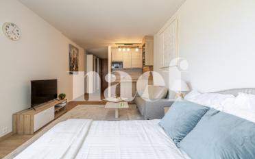 Apartment 1 room - image - 6