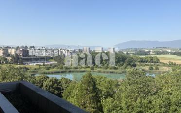 Wohnung 4 Zimmer - image - 2